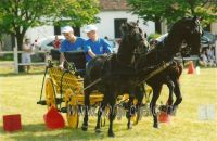 K.bijelci - voznja dvoprega